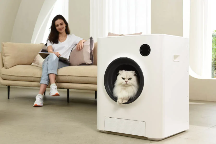 odorless litter box